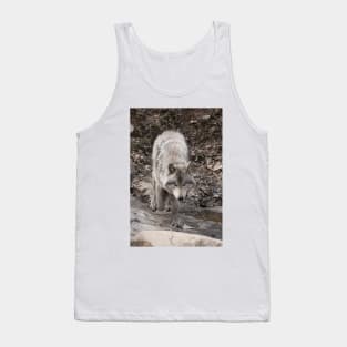 Timber Wolf Tank Top